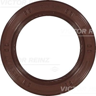 Shaft Seal, camshaft 81-25451-10