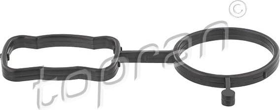 Gasket, thermostat housing 117 897