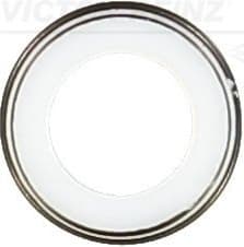 Seal Ring, valve stem 70-20423-00