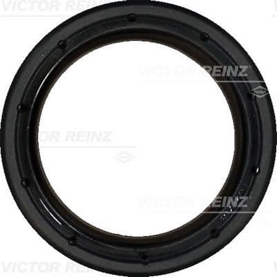 Shaft Seal, crankshaft 81-10430-00