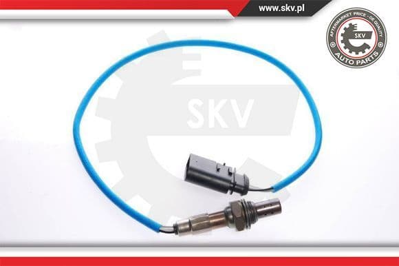 Oxygen Sensor 09SKV029