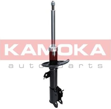 Shock Absorber 2000246