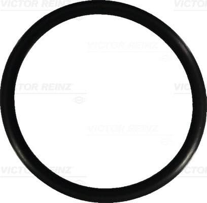 Seal Ring 40-76101-00