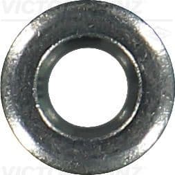 Seal Ring, injector 70-16736-00