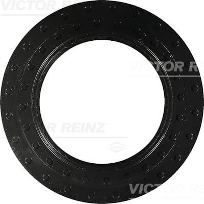 Shaft Seal, crankshaft 81-10407-00
