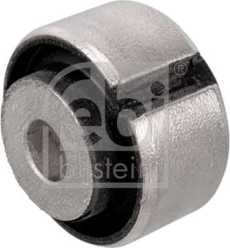 Mounting, control/trailing arm 171624