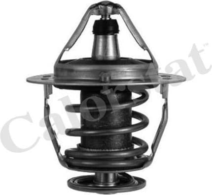 Thermostat TH6520.88J