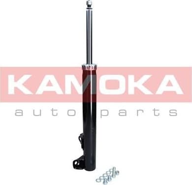 Shock Absorber 2000274