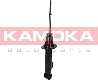 Shock Absorber 2000611