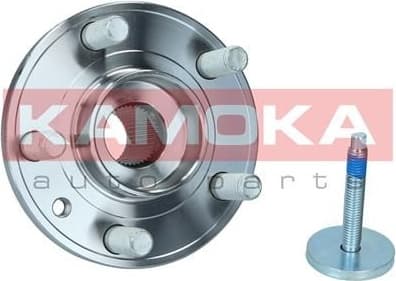 Bearing wheel 5500244