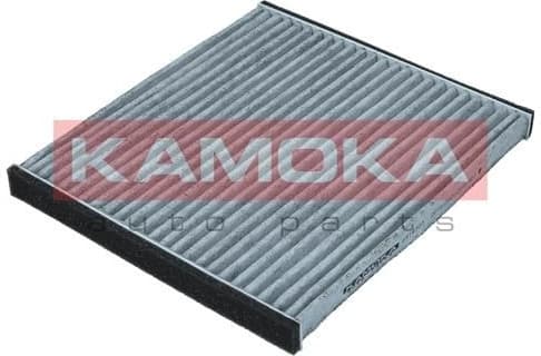 Filter, cabin air F514301