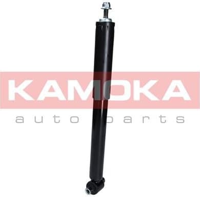 Shock absorber rear 2000997