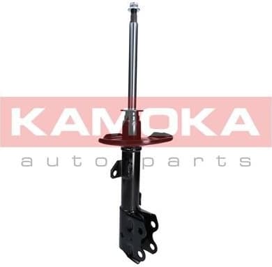 Shock absorber front 2000257