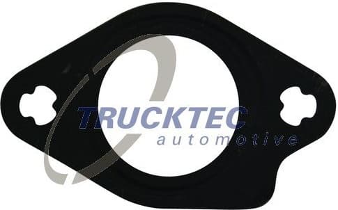 Gasket, EGR valve 02.16.085