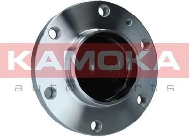 Bearing wheel 5500308