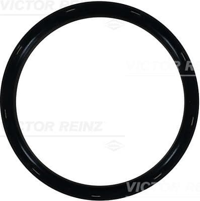 Shaft Seal, crankshaft 81-10448-00