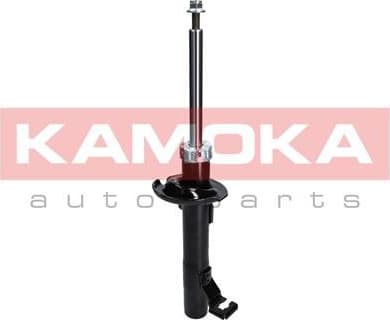 Shock Absorber 2000253