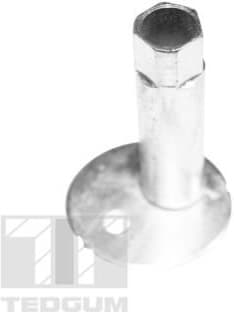 Camber Correction Screw TED39615 - image 2