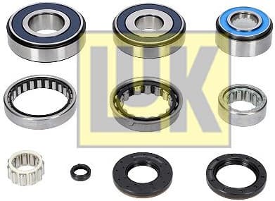Repair Kit, manual transmission LuK GearBOX 462031310
