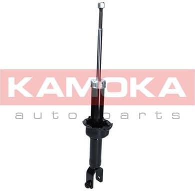 Shock Absorber 2000677