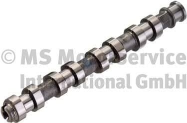 Camshaft 50006152