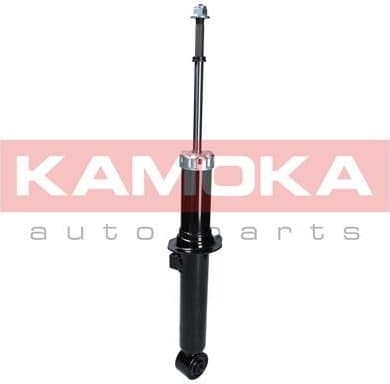 Shock absorber front 2000698