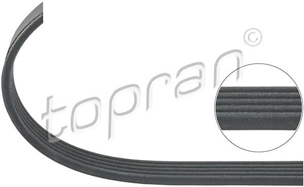 V-ribbed Belt 205 745