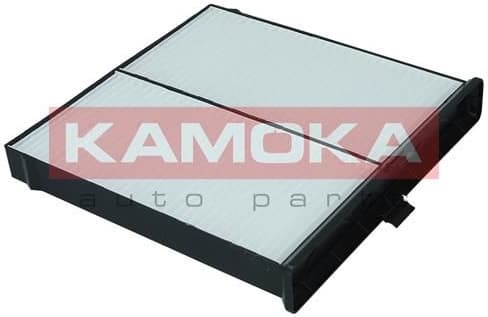 Filter, cabin air F419601 - image 4