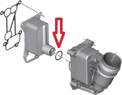 Gasket oil cooler 11428512434