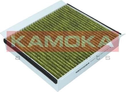 Filter, cabin air 6080017