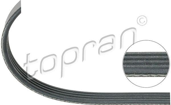 V-ribbed Belt 500 683