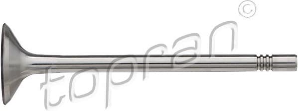 Intake Valve 112 933