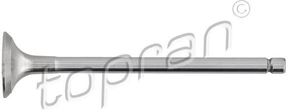 Exhaust Valve 721 574