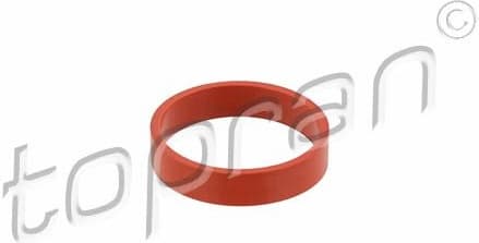 Gasket, intake manifold 501 271