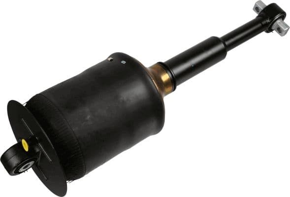 Shock Absorber 317 323