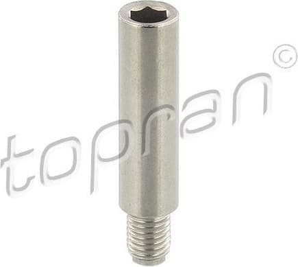 Bolt, brake caliper 110 713