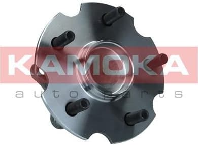 Wheel Bearing Kit 5500293