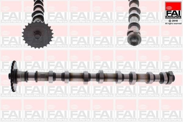 Camshaft C386