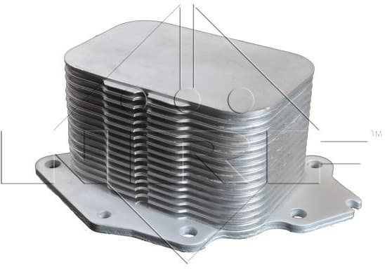 Oil Cooler, engine oil 31218