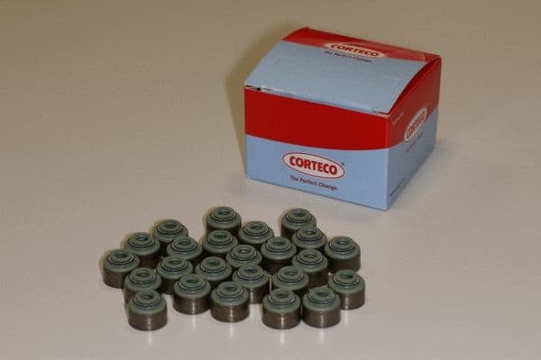 Seal Set, valve stem 19036978