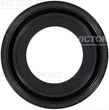 Shaft Seal, camshaft 811045900