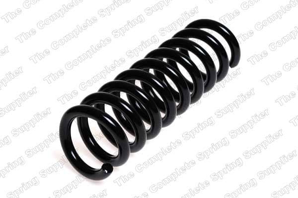Suspension Spring 4256843