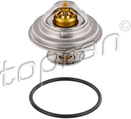 Thermostat, coolant 500 542