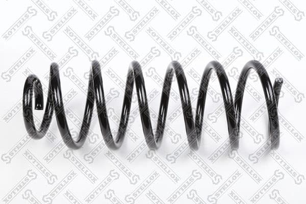 Coil spring 10-22384-SX