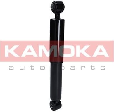 Shock Absorber 2000972