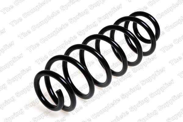 Suspension Spring 4204224