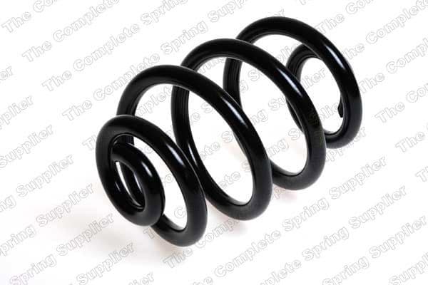 Suspension Spring 4208444