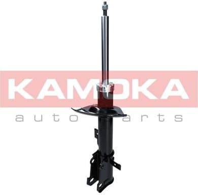 Shock absorber front 2000526