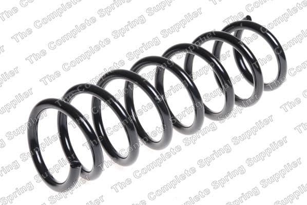Suspension Spring 4208472