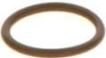 Seal Ring F 00V C38 044
